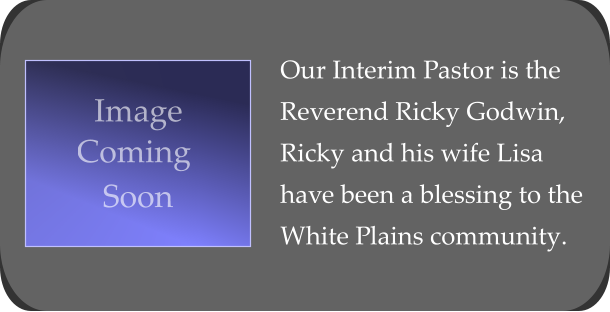 Our Interim Pastor is the  Reverend Ricky Godwin,   Ricky and his wife Lisa  have been a blessing to the  White Plains community.  Image Coming  Soon
